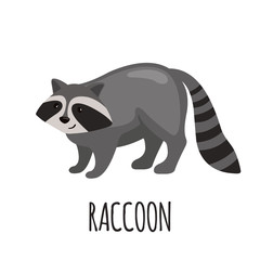 Cute Raccoon in flat style.