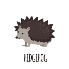Cute Hedgehog in flat style.