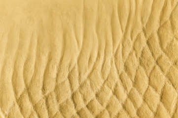 Background texture of sand