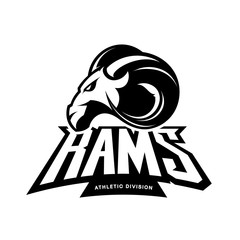 Obraz premium Furious ram sport club vector logo concept isolated on white background. Premium quality wild ram animal athletic division t-shirt tee print illustration.