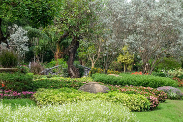 Trees in the shade garden