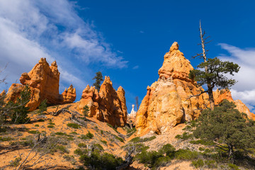 Naklejka premium Hiking in Bryce Canyon, Rim trail-Sunset to Sunrise, Queens Garden and Peek-A-Boo Loop Trails, Bryce Canyon National Park, North America, USA