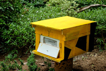 Beekeeping, agriculture, rural life.