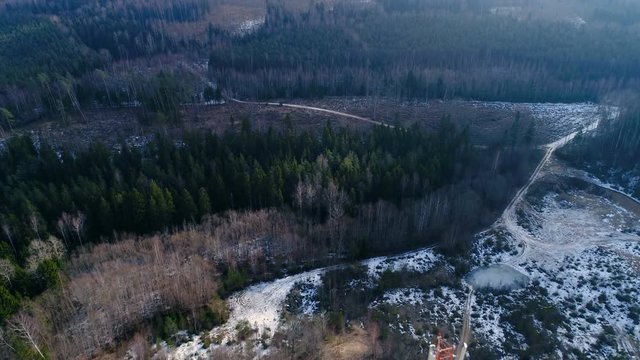 13411_The_aerial_view_of_the_forest_in_Estonia.mov