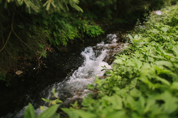 Beautiful landscape. The mountain river. Stones in a mountain river. Mountains of the Carpathians
