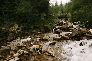 Beautiful landscape. The mountain river. Stones in a mountain river. Mountains of the Carpathians
