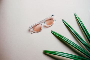 Flat lay of minimal workspace desk eyeglasses with  plant, copy space