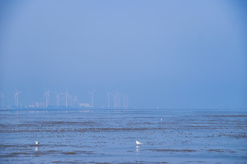 Wattenmeer