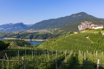 Typical mountain landscape and house in the Dolomites, south Tyrol