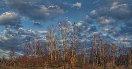 Spring landscape with beautiful clouds