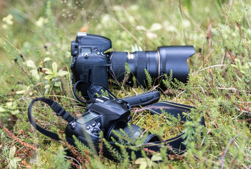 Fototapeta na wymiar Pair of camera on grass in the wild world