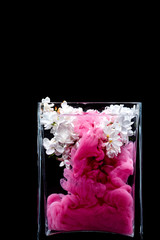 Picturesue lilac flowers and colorful ink swirling in water in a glass vase on a black background