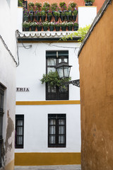 Fototapeta na wymiar Sevilla (Andalucia, Spain): Barrio Santa Cruz