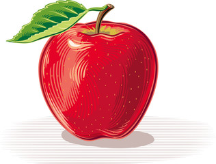 red apple, white background.