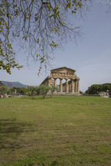 Fototapeta na wymiar The temple of athena or temple of ceres at the ancient Greek city of Paestum, Italy
