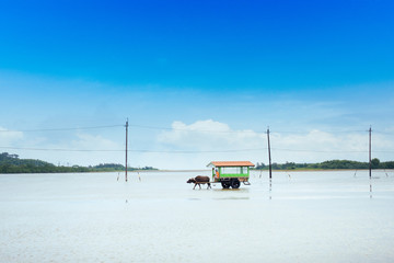 由布島 © makieni