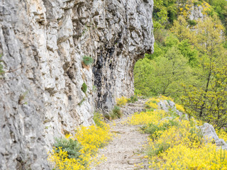Hike path in Cheile Nerei National Park in the Carpathian Mountains Romania