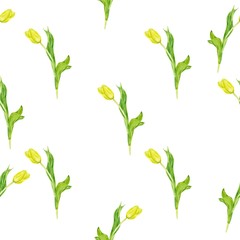 Fototapeta na wymiar Seamless background with plants. Watercolor pattern with Tulip on white background