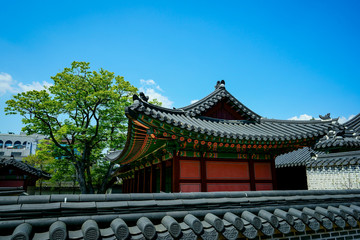 Fototapeta premium Changdeokgung Palace Secret Garden (창덕궁후원)