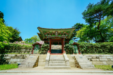 Changdeokgung Palace Secret Garden (창덕궁후원)