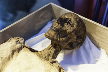 Ancient mummy - obrazy, fototapety, plakaty