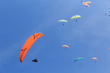 many paragliders on the sky