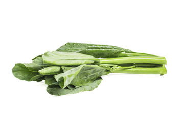 hinese kale vegetable isolated on white background.