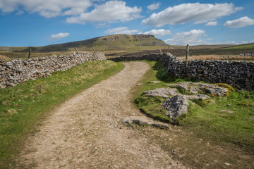 Fototapeta na wymiar Pen-y-ghent or Penyghent is a fell in the Yorkshire Dales. It is one of the Yorkshire Three Peaks,