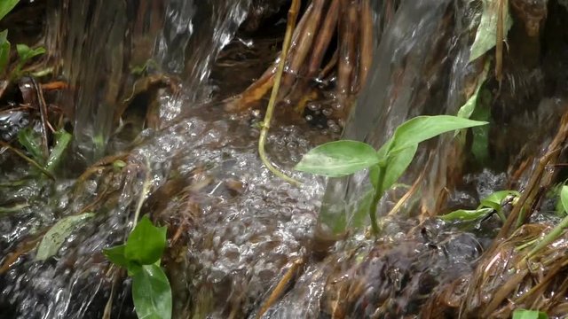 river running water stream flow with small rift over the stone shelf in evening time