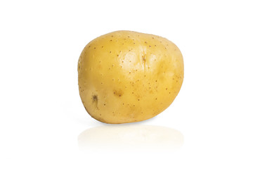 potato on white background