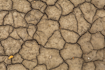 The texture of the surface of the earth that has cracked from drought.