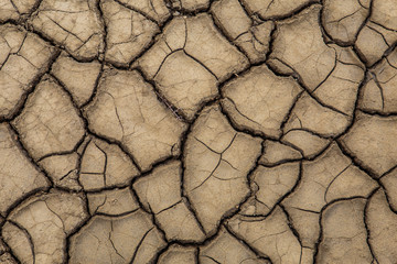 The texture of the surface of the earth that has cracked from drought.