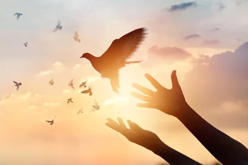 Fotobehang Vrouw bidt en bevrijdt de vogels die vliegen op de achtergrond van de zonsondergang, hoop concept © ipopba