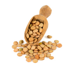 lentil isolated on white background