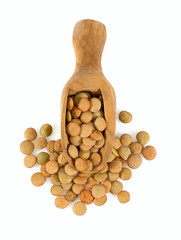 lentil isolated on white background