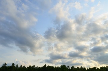 日没間近の空と防風林