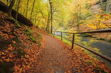 Naklejka premium Autumn colors river