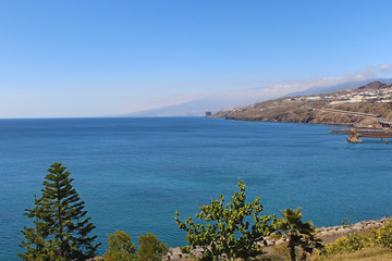 Palmetum de Santa Cruz de Tenerife