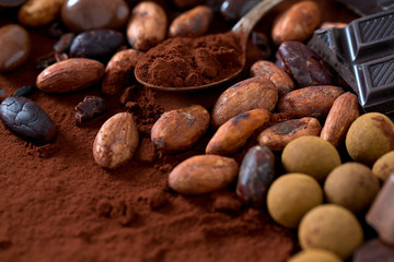 cocoa and chocolate candies