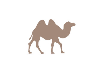 Camel minimal vector illustration, silhouette isolated on a white background