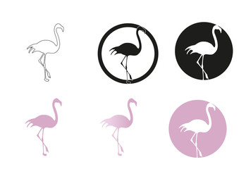 Flamingo minimal vector illustration, silhouette isolated on a white background
