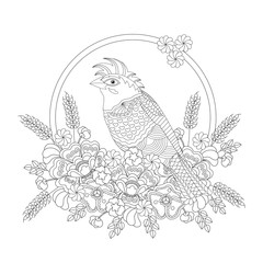 Fototapeta na wymiar Fantasy bird in flowers. Coloring book for adults and children. Black and white vector illustration.