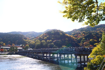 Fototapeta premium 嵐山