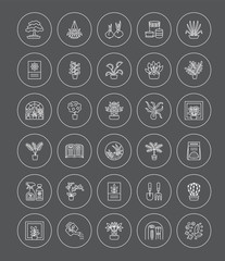Vector collection of house plants, gardening tools and accessories. Different kinds of flowering and green foliage plants. Line icon set.