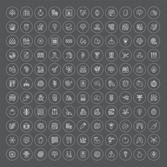 Garden centre elements. Vector line icon collection. Indoor and outdoor plants. Agriculture items.