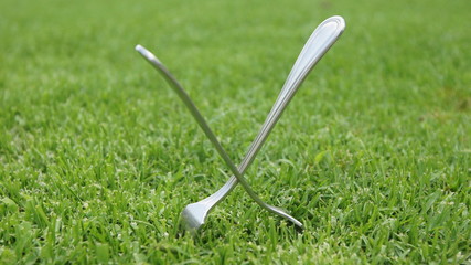 Forks eaten nailed on the lawn of a garden. This is a kabala so it does not rain, an old popular...