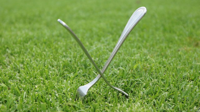 Forks eaten nailed on the lawn of a garden. This is a kabala so it does not rain, an old popular belief