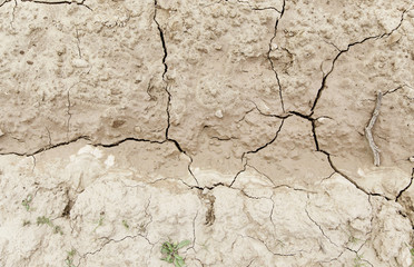 Dry soil by a drought