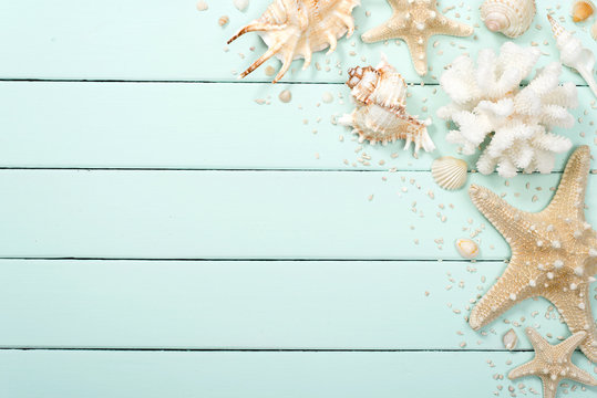 summer background, seashells on the wood