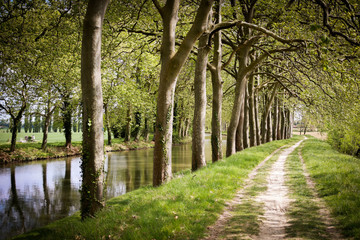Fototapeta premium Canal du Midi